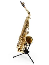Professional Alto Saxophone