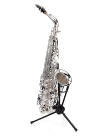 Professional Alto Saxophone